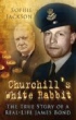 Image of book Churchill's White Rabbit by Sophie Jackson